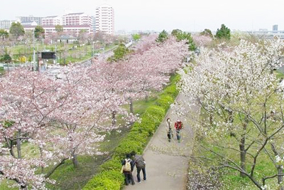 提供：江戸川区
