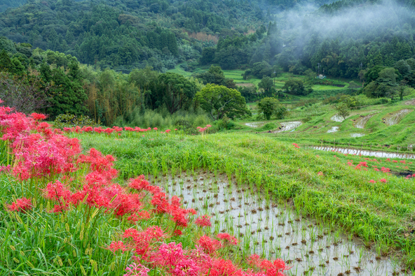 日本の原風景とのコラボレーションは必見です！（画像提供：Yoshitaka / PIXTA）
