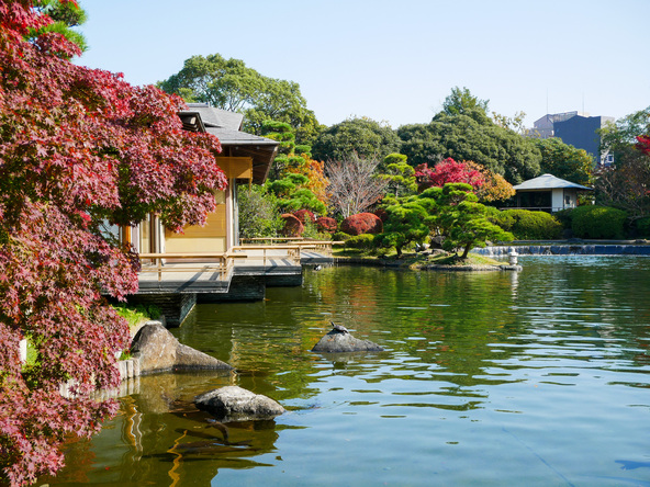 江戸川区屈指の紅葉の名所です（画像提供：kawamura_lucy / PIXTA）