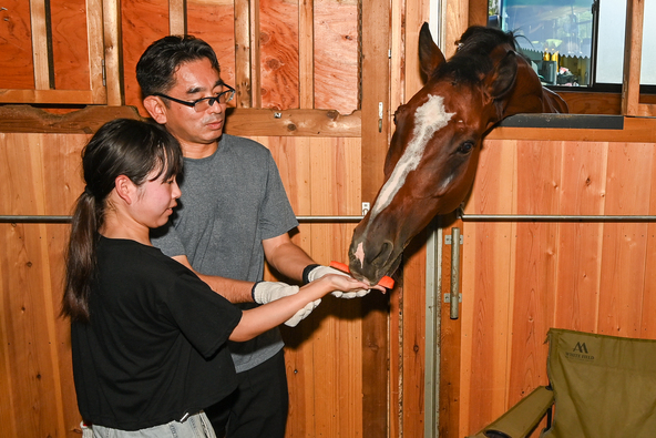 ここで暮らすのは、引退した元競走馬たち。スタッフさんが一頭一頭の性格やエピソードを教えてくれて、馬が大切に育てられていることが伝わってきます