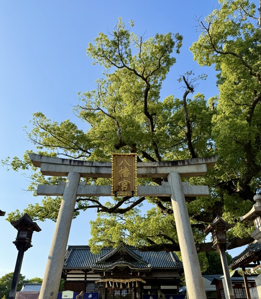 「ふとん太鼓奉納行事」が行われる「百舌鳥八幡宮」の鳥居