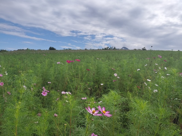 2025年9月30日の様子