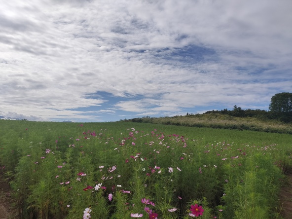 2025年9月30日の様子