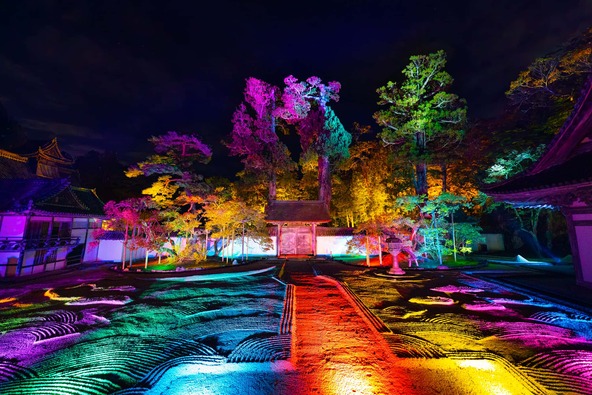 本堂（国宝）前庭ライトアップ