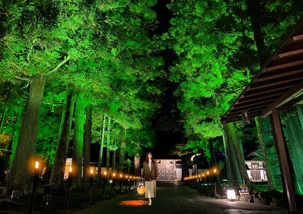 瑞巌寺境内も美しくライトアップ