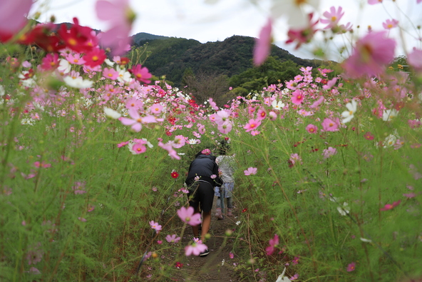 花に包まれた道を進むたびに子供たちもワクワク！