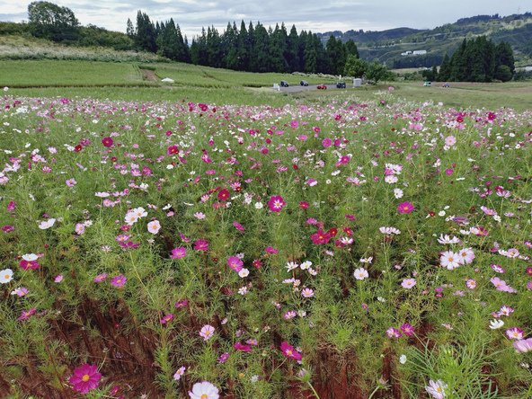 2025年10月4日の様子
