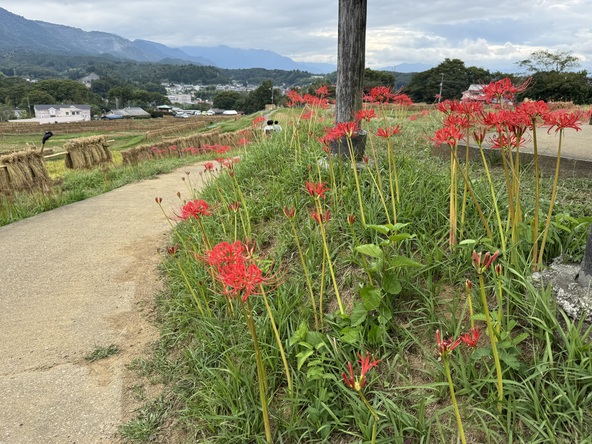 2025年10月5日の様子