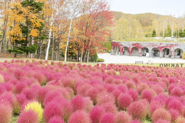 楽しいイベント盛りだくさんの「たきの紅葉まつり」も開催（画像提供：黄金虫 / PIXTA）