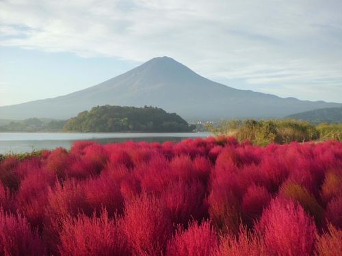 ほかではなかなか見られない秋の絶景が楽しめます！