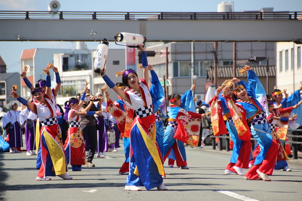 祭りでは、息のそろった演舞が楽しめる「よさこい」も登場します