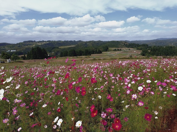 2025年10月9日の様子