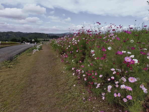 2025年10月9日の様子