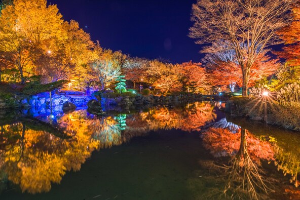 紅葉と桜が池に映り、とても幻想的（画像提供： jyugem / PIXTA）