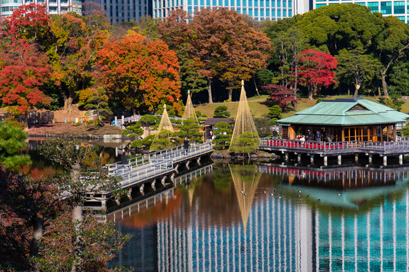 春や桜、秋は紅葉が美しい「旧芝離宮恩賜庭園」（画像提供：Jake Images / PIXTA）