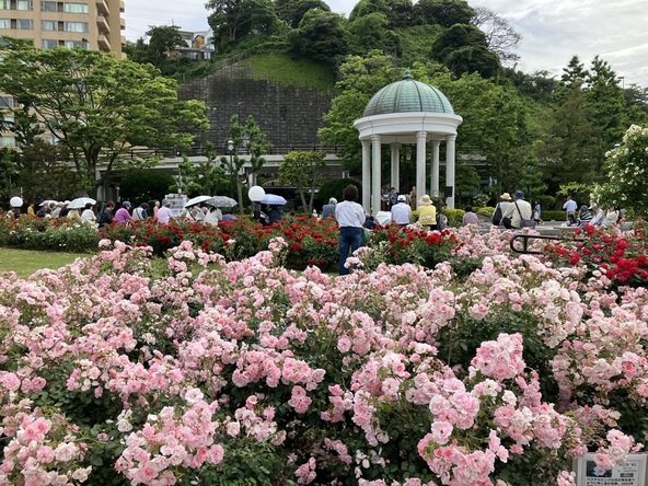 秋バラが咲く公園内はロマンチックな雰囲気に包まれています