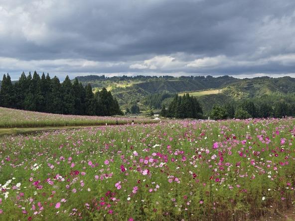 2025年10月12日の様子
