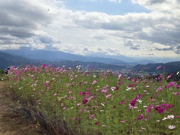 2025年10月12日の様子