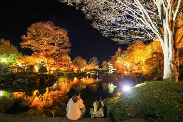 紅葉と桜が池に映り、とても幻想的