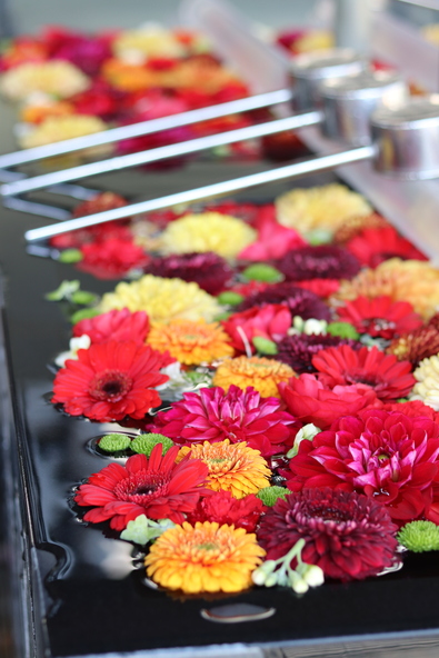 美しい花手水を巡る体験は、子供にとっても特別な思い出になること間違いなし！