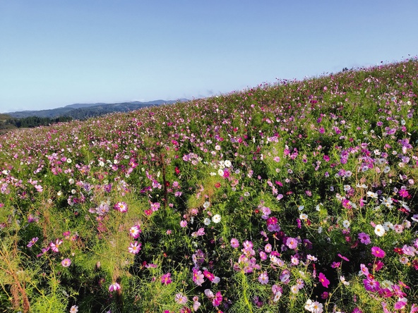 2025年10月17日の様子
