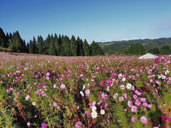 2025年10月17日の様子