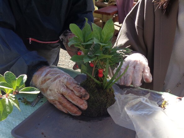 苔玉作り体験で、自分だけの小さな作品を手に入れましょう♪