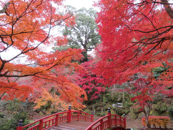 もみじまつり期間中は、駐車場も大混雑します