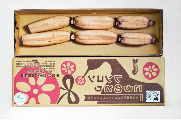 鳴門ブランド「こうのとりレンコン」