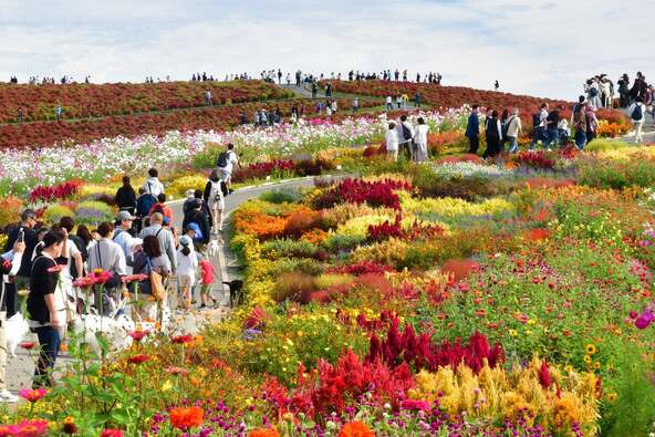 「みはらしの丘」第一頂上入り口にある「ウェルカムガーデン」