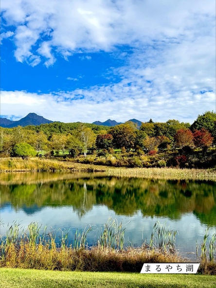 2025年10月20日の様子