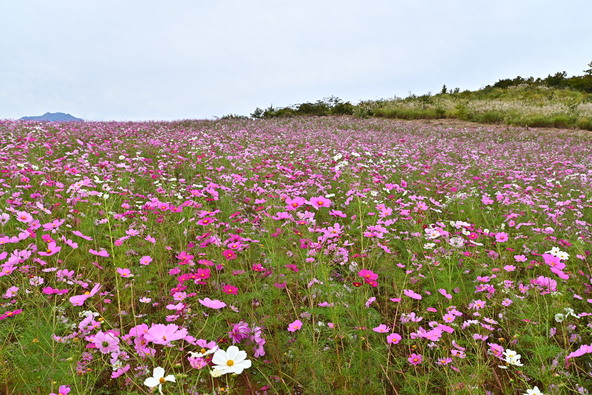 2025年10月20日の様子