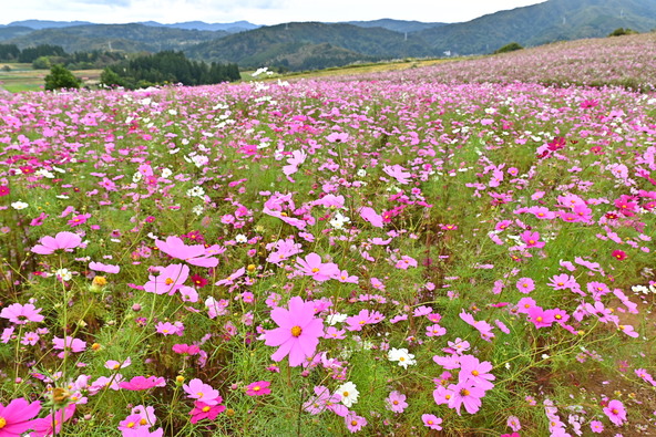 2025年10月20日の様子
