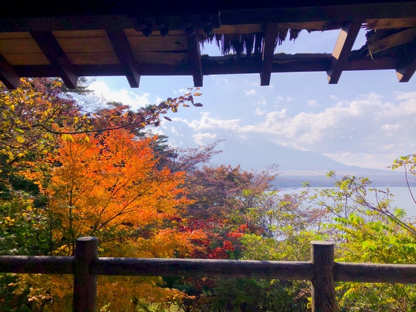園内からは山中湖と紅葉の共演が眺められます