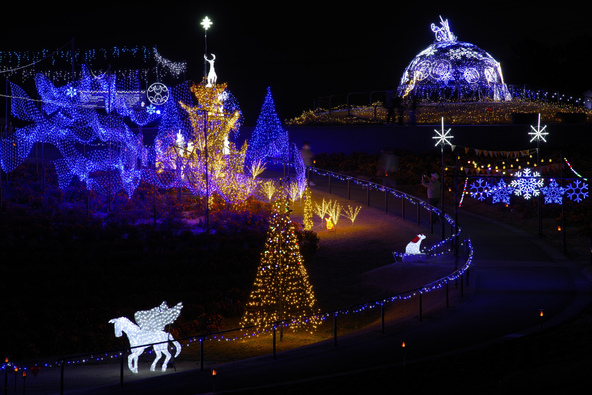 マリーゴールドの丘イルミネーション過去の様子（画像提供：gonbe / PIXTA）