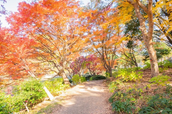 花木園（2024年撮影）