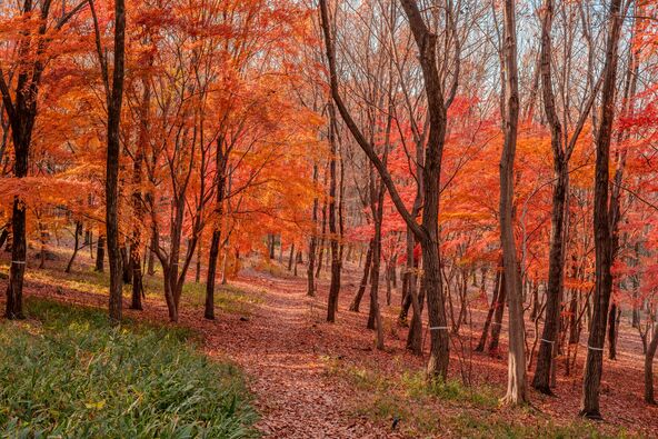 こもれびの丘（2024年撮影）