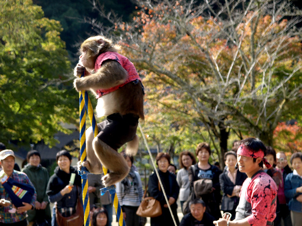 子供たちの笑顔があふれる「猿回し」