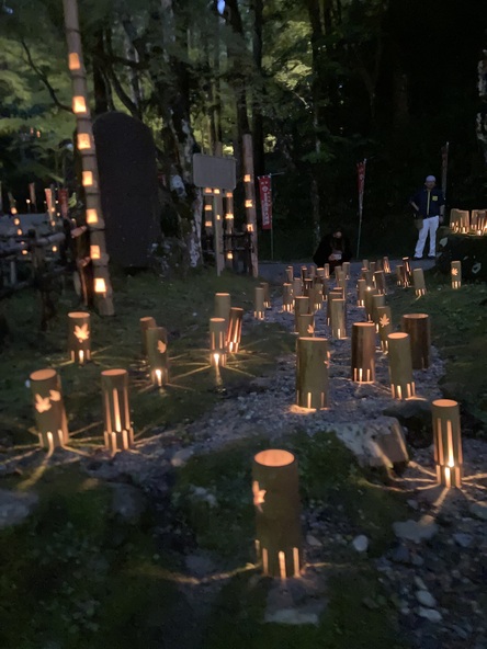 竹灯りが参道をやさしく照らします