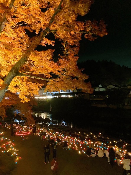 願いを込めたろうそくの灯が河川敷を彩ります
