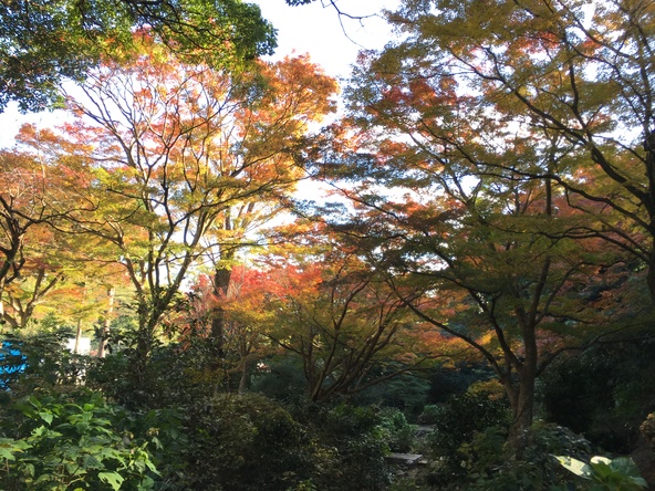 心静かなひとときを過ごせる園内（画像提供：伊東市）