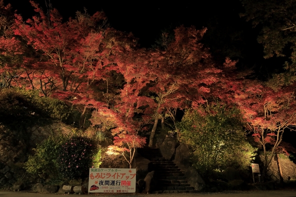 過去開催時の様子（画像提供：HeNe / PIXTA）