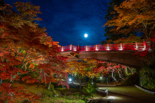 ライトアップされた「もみじ谷」の観月橋（画像提供：muroro / PIXTA）