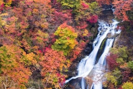 周辺がカラフルに紅葉した「霧降滝」