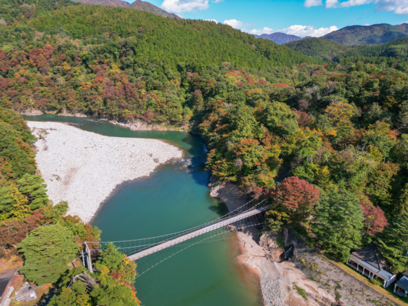 上空から見た「鷹の巣吊り橋」付近（画像提供：関川村）