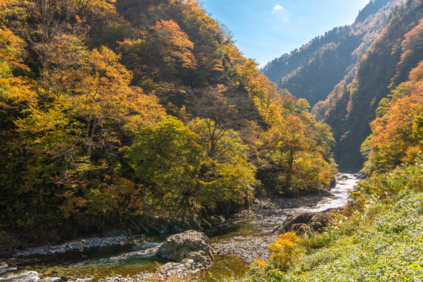 川を挟んで切り立つ岩壁が見事に色づく秋（画像提供：genki / PIXTA）