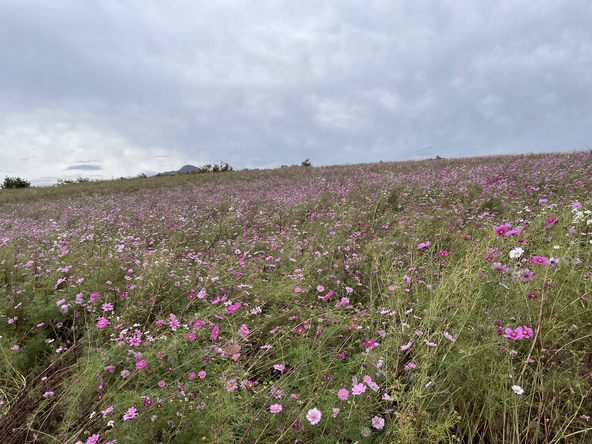 2025年10月31日の様子