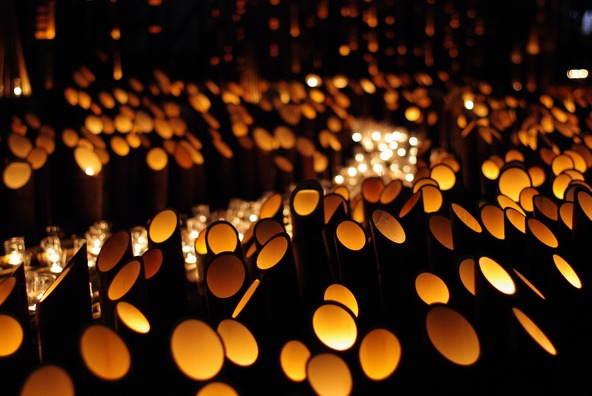 夜の花月川沿いを照らす無数の竹灯籠にうっとり♪