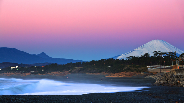 照ヶ崎海岸から見た富士山（画像提供：koikoi / PIXTA）
