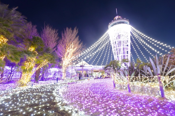 過去のイルミネーションの様子（画像提供：公益社団法人藤沢市観光協会）